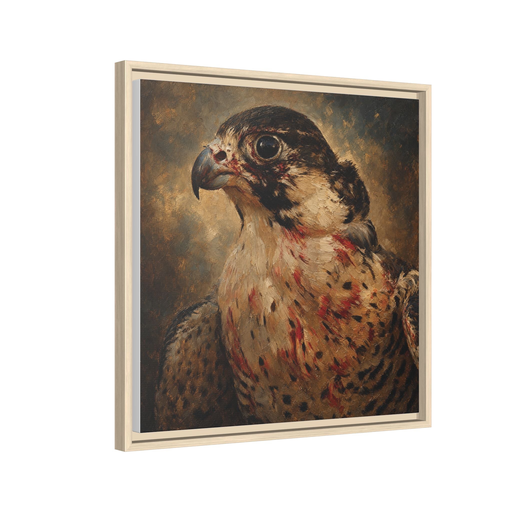 Framed Matte Canvas Falcon Portrait — Dramatic Raptor Wall Art